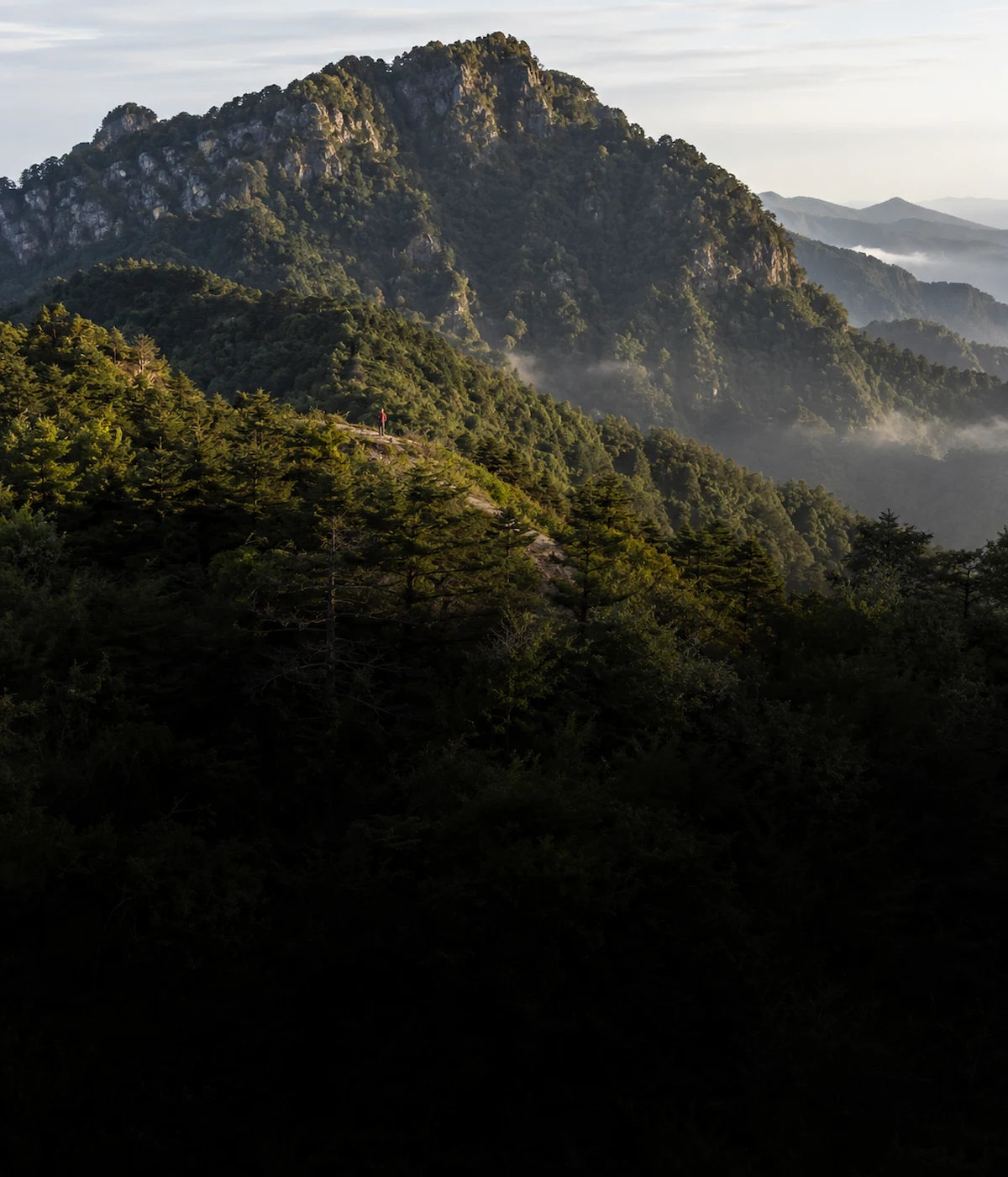 Forested ridges fading into morning mist in Shennongjia