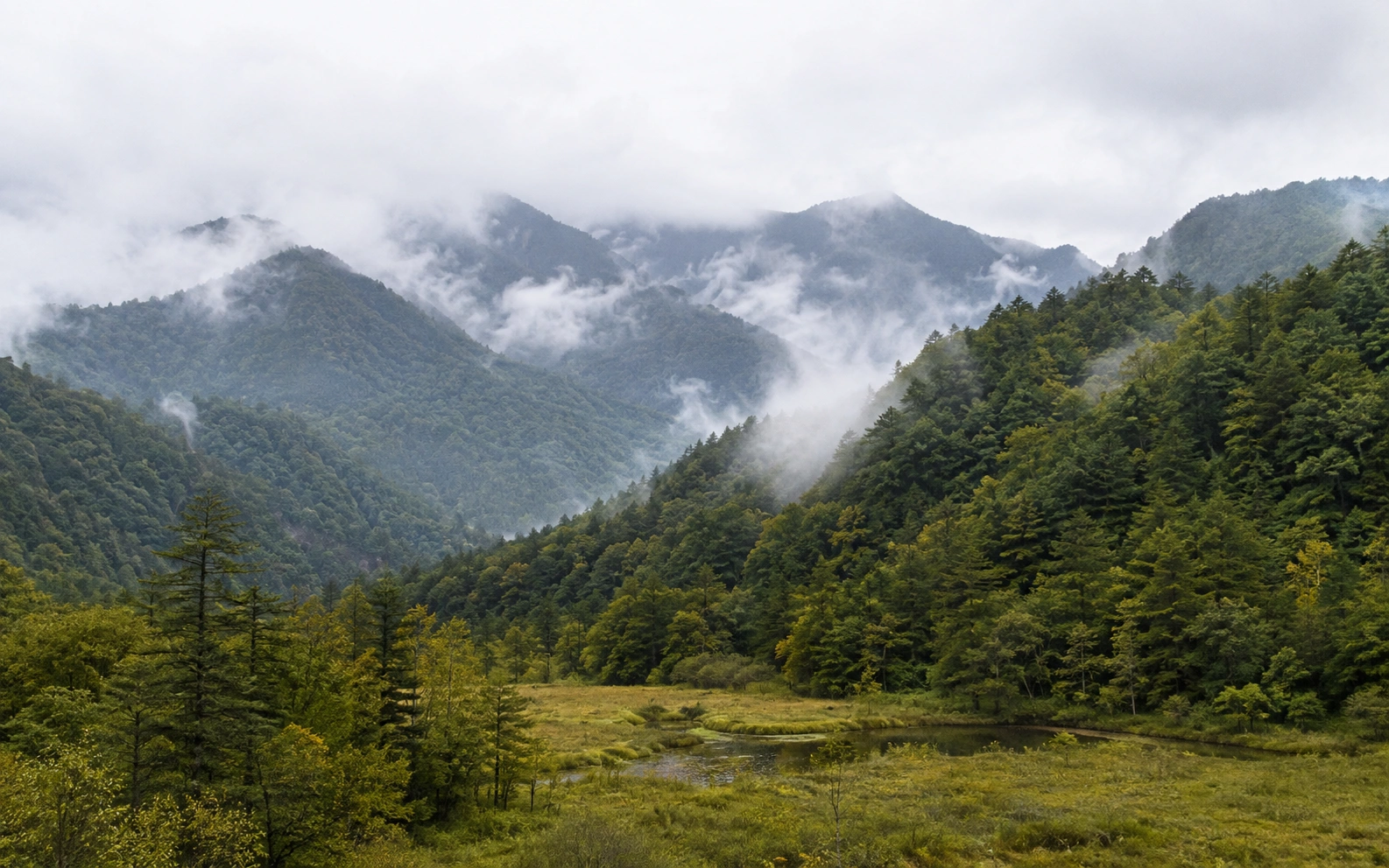 Shennongjia forest highlands and mountain landscape