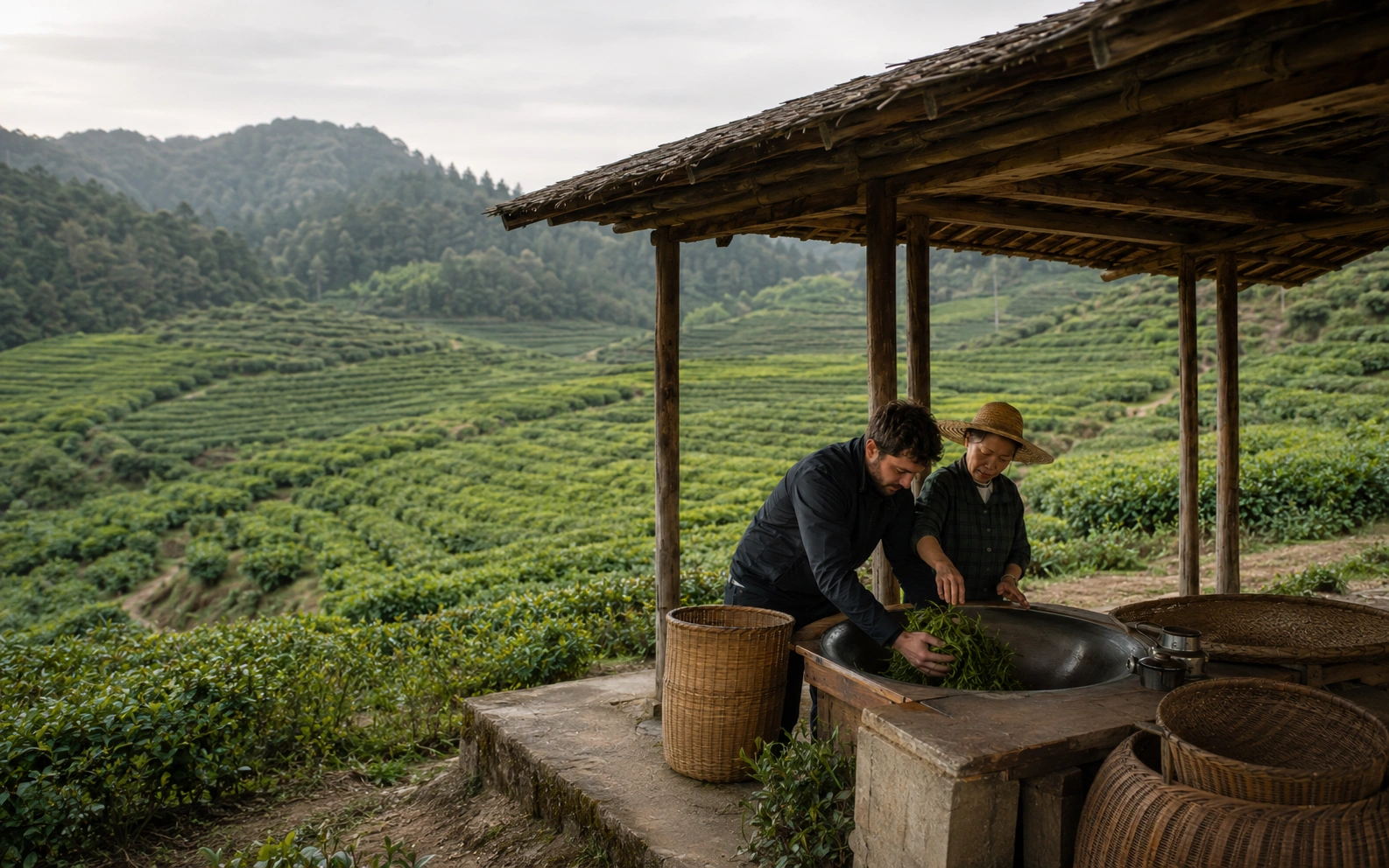 Tea culture in Central China